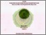 [thumbnail of OKTA WIRYANI (A11501173) compres.pdf]