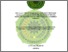 [thumbnail of AJI SUKMA PRASETYO NIM.A01602164.pdf]