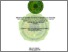 [thumbnail of AJENG AISYIYAH NIM. B1501243.pdf]
