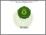 [thumbnail of ROFITA MELIYANA NIM. A01401960.pdf]