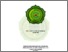 [thumbnail of SITI UMAYATUN MUSLIHAH NIM. A01401969.pdf]