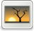 [thumbnail of sertifikat HKI]